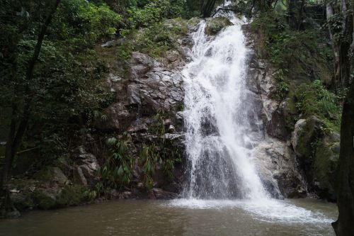 Best of Minca (Pozo Azul, Cascada Marinka, Casa Elemento, Los Pinos)